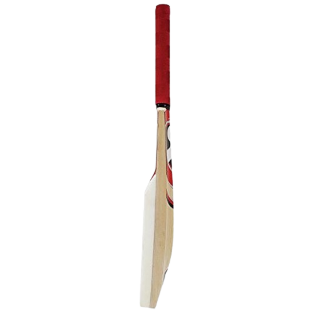 SG Catch Bat • catch practice bat • slip fielding bat • foam face cricket bat • Kashmir willow practice bat • reflex training cricket bat • wicket‑keeper catch bat • SG practice bat • fielding training bat • coach training bat